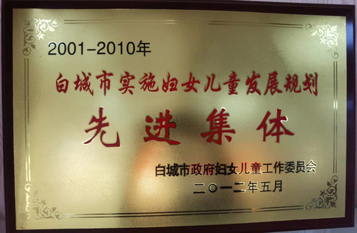 白城市实施妇女儿童发展规划“先进集体”.jpg