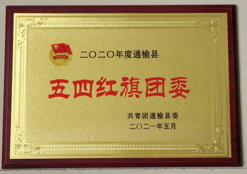 第八中学荣获“2020年度通榆县五四红旗团委”.jpg